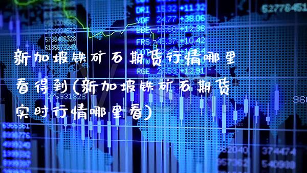 新加坡铁矿石期货行情哪里看得到(新加坡铁矿石期货实时行情哪里看)_https://www.xmqjcw.com_期货投资_第1张