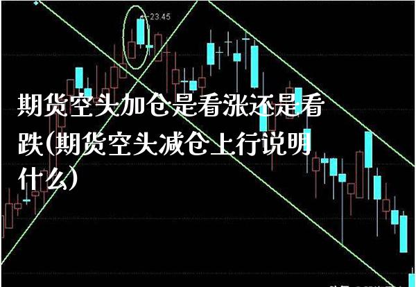 期货空头加仓是看涨还是看跌(期货空头减仓上行说明什么)_https://www.xmqjcw.com_期货行情_第1张