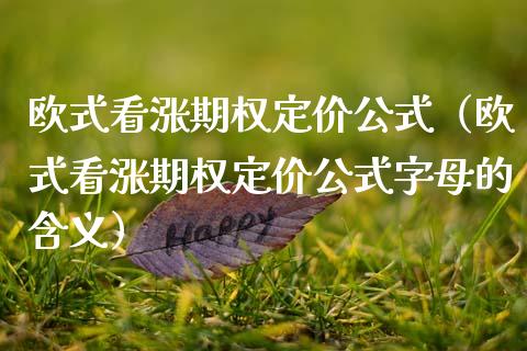 欧式看涨期权定价公式（欧式看涨期权定价公式字母的含义）_https://www.xmqjcw.com_期货投资_第1张