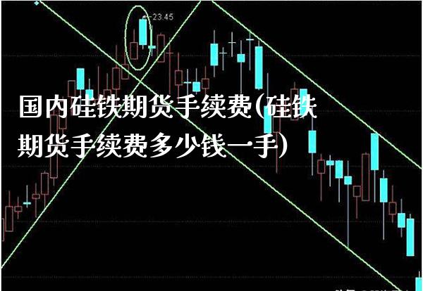 国内硅铁期货手续费(硅铁期货手续费多少钱一手)_https://www.xmqjcw.com_期货直播室_第1张