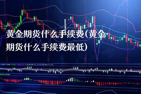 黄金期货什么手续费(黄金期货什么手续费最低)_https://www.xmqjcw.com_期货行情_第1张