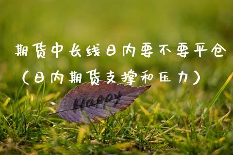 期货中长线日内要不要平仓（日内期货支撑和压力）_https://www.xmqjcw.com_期货行情_第1张