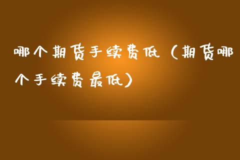 哪个期货手续费低（期货哪个手续费最低）_https://www.xmqjcw.com_期货投资_第1张