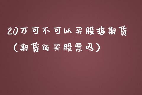 20万可不可以买股指期货（期货能买股票吗）_https://www.xmqjcw.com_期货投资_第1张