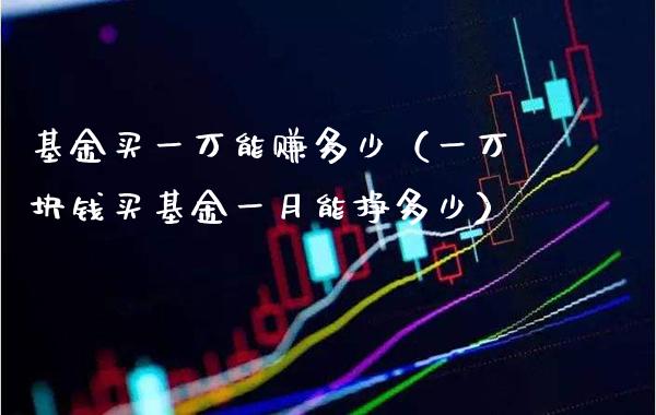 基金买一万能赚多少（一万块钱买基金一月能挣多少）_https://www.xmqjcw.com_基金理财_第1张
