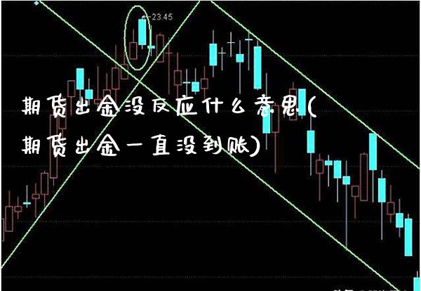 期货出金没反应什么意思(期货出金一直没到账)_https://www.xmqjcw.com_期货百科_第1张