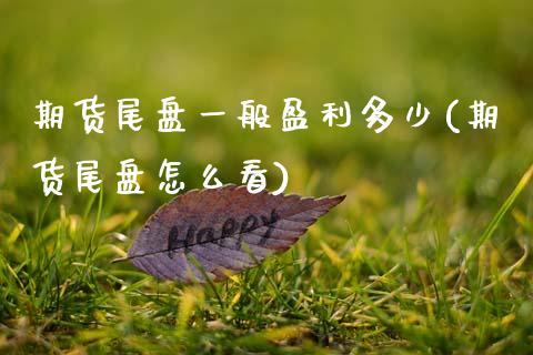 期货尾盘一般盈利多少(期货尾盘怎么看)_https://www.xmqjcw.com_期货百科_第1张