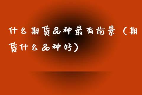 什么期货品种最有前景（期货什么品种好）_https://www.xmqjcw.com_期货直播室_第1张