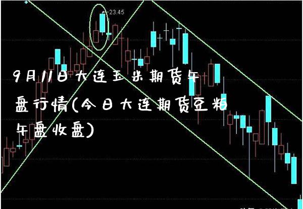 9月11日大连玉米期货午盘行情(今日大连期货豆粕午盘收盘)_https://www.xmqjcw.com_股票投资_第1张