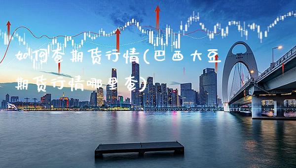 如何查期货行情(巴西大豆期货行情哪里查)_https://www.xmqjcw.com_期货行情_第1张