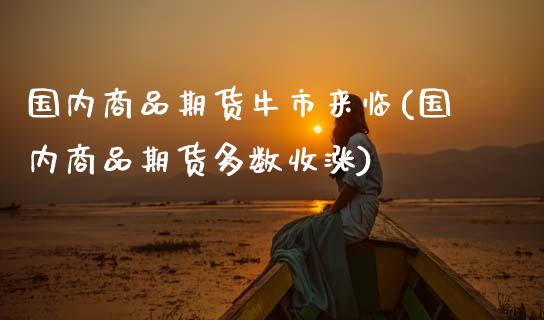 国内商品期货牛市来临(国内商品期货多数收涨)_https://www.xmqjcw.com_股票投资_第1张