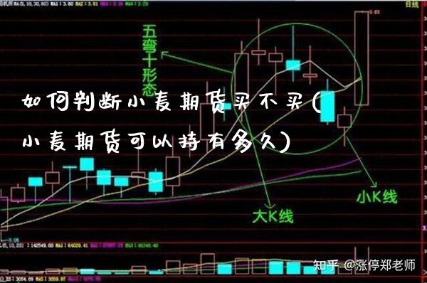 如何判断小麦期货买不买(小麦期货可以持有多久)_https://www.xmqjcw.com_股票投资_第1张