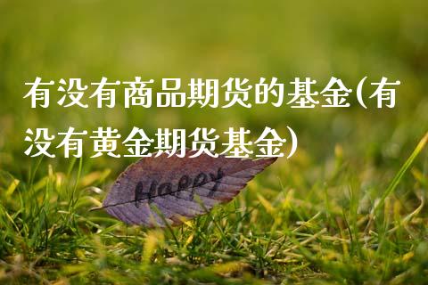 有没有商品期货的基金(有没有黄金期货基金)_https://www.xmqjcw.com_期货百科_第1张