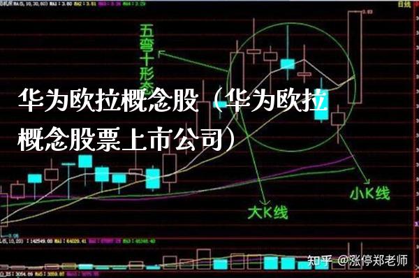 华为欧拉概念股（华为欧拉概念股票上市公司）_https://www.xmqjcw.com_股票投资_第1张