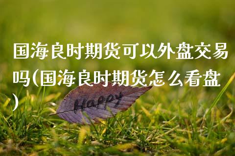 国海良时期货可以外盘交易吗(国海良时期货怎么看盘)_https://www.xmqjcw.com_期货百科_第1张