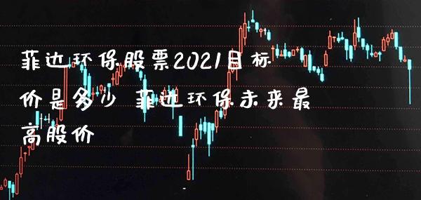 菲达环保股票2021目标价是多少 菲达环保未来最高股价_https://www.xmqjcw.com_股票投资_第1张