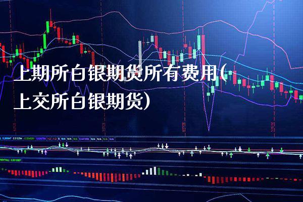 上期所白银期货所有费用(上交所白银期货)_https://www.xmqjcw.com_期货开户_第1张