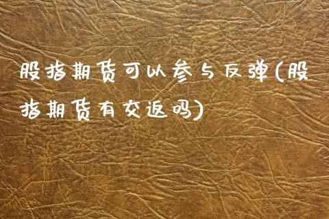 股指期货可以参与反弹(股指期货有交返吗)_https://www.xmqjcw.com_期货百科_第1张