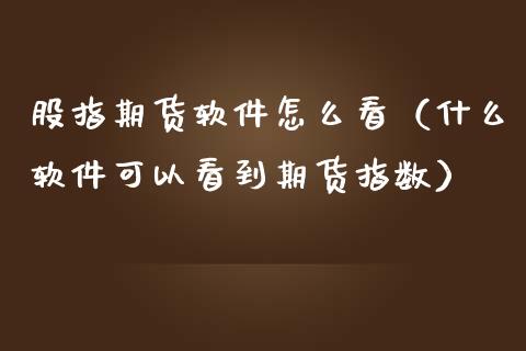 股指期货软件怎么看（什么软件可以看到期货指数）_https://www.xmqjcw.com_期货直播室_第1张