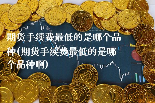 期货手续费最低的是哪个品种(期货手续费最低的是哪个品种啊)_https://www.xmqjcw.com_期货投资_第1张