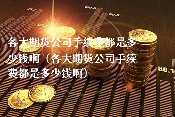 各大期货公司手续费都是多少钱啊（各大期货公司手续费都是多少钱啊）_https://www.xmqjcw.com_期货直播室_第1张