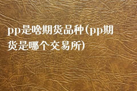 pp是啥期货品种(pp期货是哪个交易所)_https://www.xmqjcw.com_期货百科_第1张