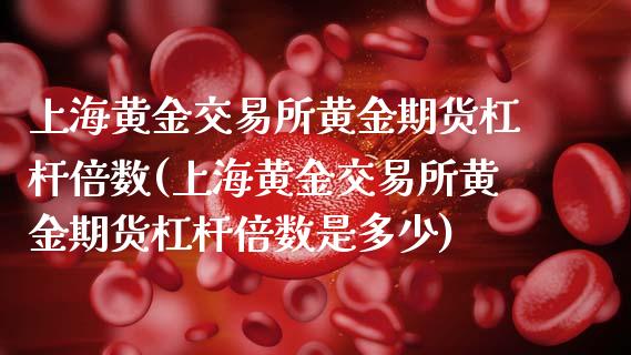 上海黄金交易所黄金期货杠杆倍数(上海黄金交易所黄金期货杠杆倍数是多少)_https://www.xmqjcw.com_期货行情_第1张