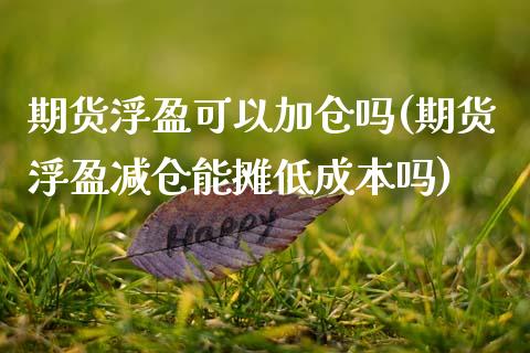 期货浮盈可以加仓吗(期货浮盈减仓能摊低成本吗)_https://www.xmqjcw.com_期货百科_第1张