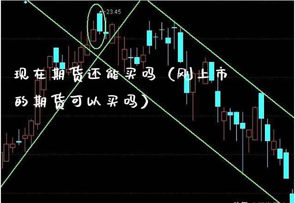 现在期货还能买吗（刚上市的期货可以买吗）_https://www.xmqjcw.com_期货开户_第1张