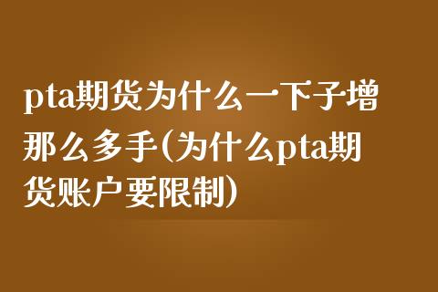 pta期货为什么一下子增那么多手(为什么pta期货账户要限制)_https://www.xmqjcw.com_期货百科_第1张