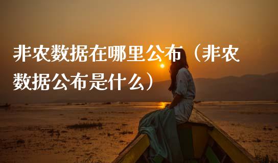 非农数据在哪里公布（非农数据公布是什么）_https://www.xmqjcw.com_期货投资_第1张