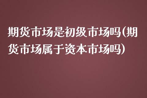 期货市场是初级市场吗(期货市场属于资本市场吗)_https://www.xmqjcw.com_期货百科_第1张