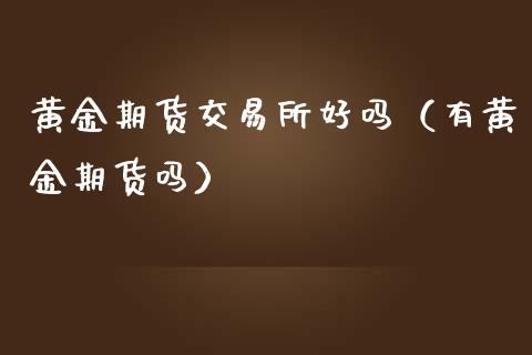 黄金期货交易所好吗（有黄金期货吗）_https://www.xmqjcw.com_期货投资_第1张