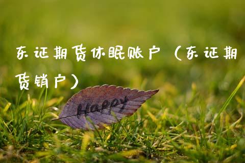 东证期货休眠账户（东证期货销户）_https://www.xmqjcw.com_期货直播室_第1张