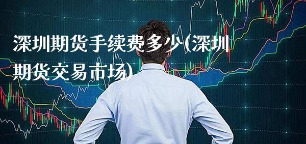 深圳期货手续费多少(深圳期货交易市场)_https://www.xmqjcw.com_期货百科_第1张