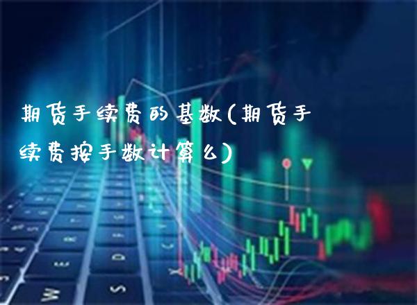 期货手续费的基数(期货手续费按手数计算么)_https://www.xmqjcw.com_期货百科_第1张
