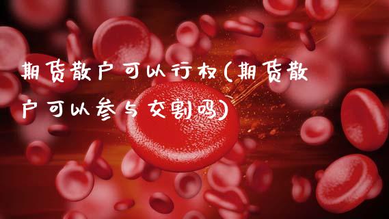 期货散户可以行权(期货散户可以参与交割吗)_https://www.xmqjcw.com_期货百科_第1张