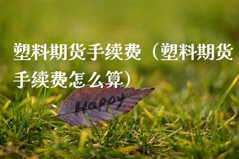 塑料期货手续费（塑料期货手续费怎么算）_https://www.xmqjcw.com_期货直播室_第1张