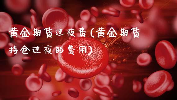 黄金期货过夜费(黄金期货持仓过夜的费用)_https://www.xmqjcw.com_期货百科_第1张