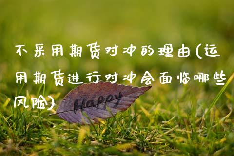 不采用期货对冲的理由(运用期货进行对冲会面临哪些风险)_https://www.xmqjcw.com_期货百科_第1张