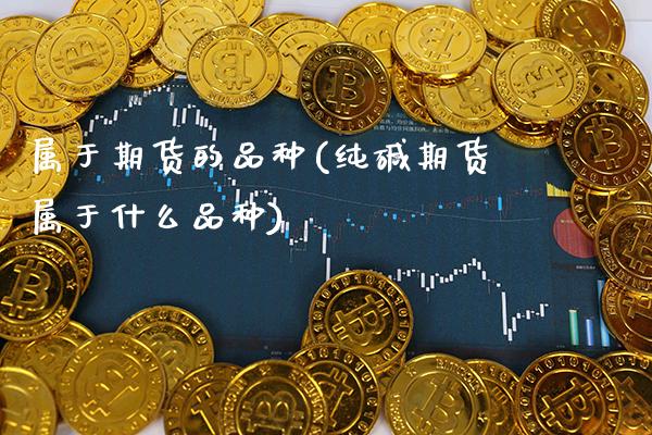 属于期货的品种(纯碱期货属于什么品种)_https://www.xmqjcw.com_期货百科_第1张