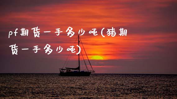 pf期货一手多少吨(猪期货一手多少吨)_https://www.xmqjcw.com_期货百科_第1张