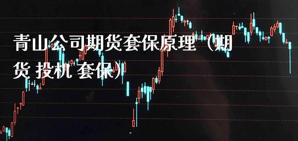 青山公司期货套保原理（期货 投机 套保）_https://www.xmqjcw.com_期货直播室_第1张