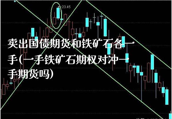 卖出国债期货和铁矿石各一手(一手铁矿石期权对冲一手期货吗)_https://www.xmqjcw.com_基金理财_第1张