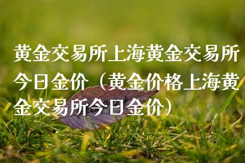 黄金交易所上海黄金交易所今日金价（黄金价格上海黄金交易所今日金价）_https://www.xmqjcw.com_期货投资_第1张