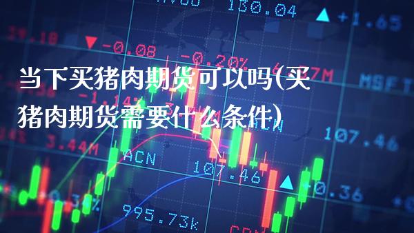 当下买猪肉期货可以吗(买猪肉期货需要什么条件)_https://www.xmqjcw.com_期货投资_第1张