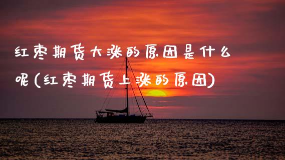 红枣期货大涨的原因是什么呢(红枣期货上涨的原因)_https://www.xmqjcw.com_股票投资_第1张