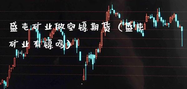 盛屯矿业做空镍期货（盛屯矿业有镍吗）_https://www.xmqjcw.com_期货投资_第1张