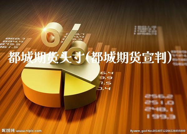 都城期货头寸(都城期货宣判)_https://www.xmqjcw.com_期货直播室_第1张