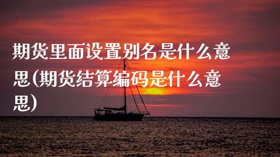 期货里面设置别名是什么意思(期货结算编码是什么意思)_https://www.xmqjcw.com_期货百科_第1张